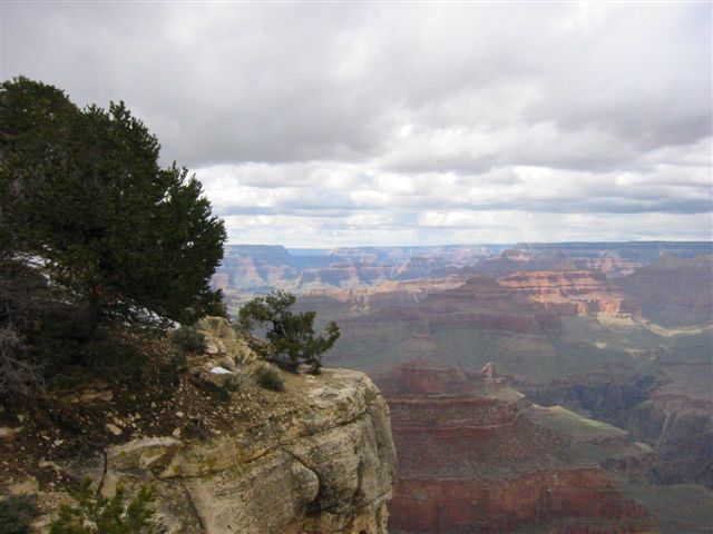 Arizona 029